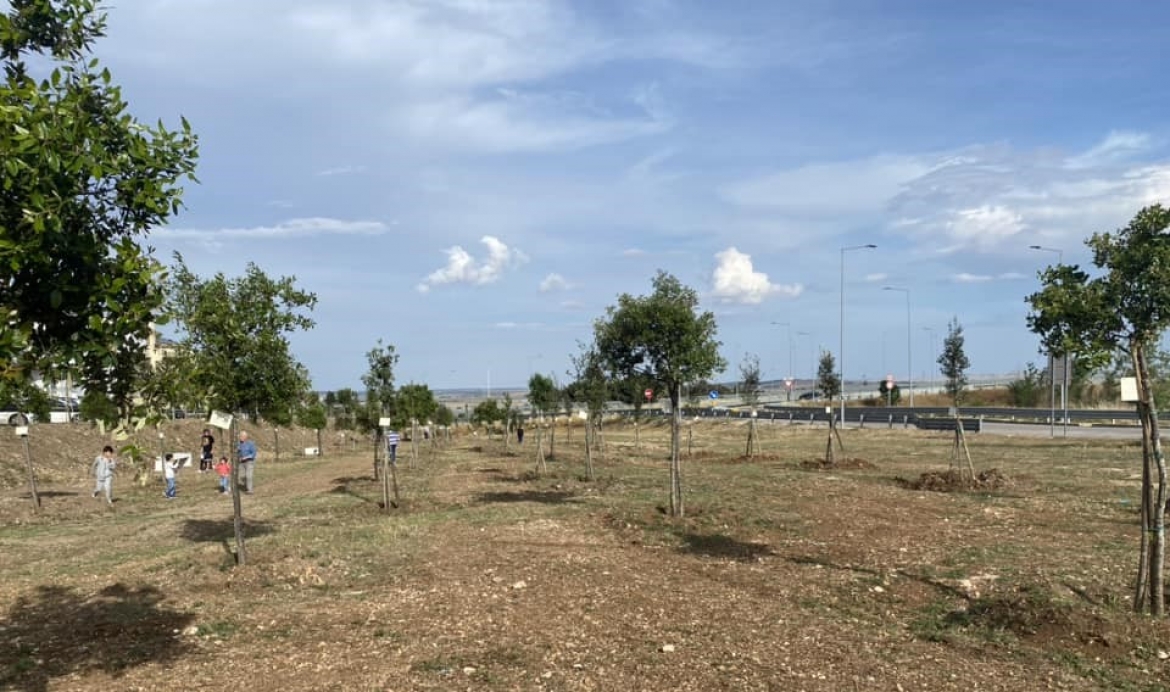 Inaugurato il "Parco arborato" dedicato alla memoria delle vittime del Covid-19